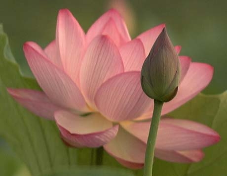 สัมมนาพระพุทธศาสนา